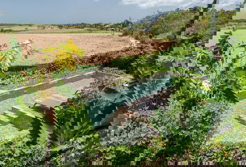 Apartment 1 bedroom Petit-canal