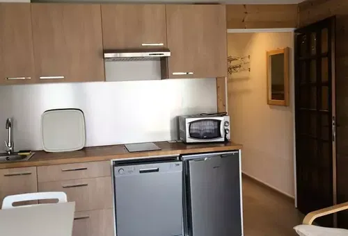 Appartement 1 chambre Huez