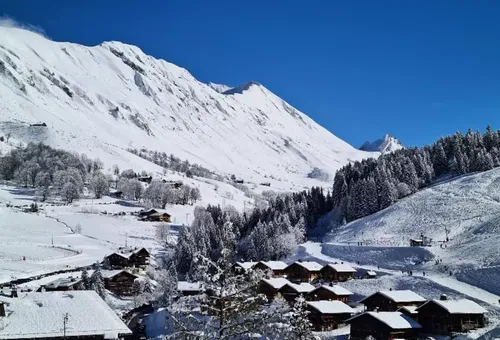 Wohnung 3 Zimmer Le Grand-bornand