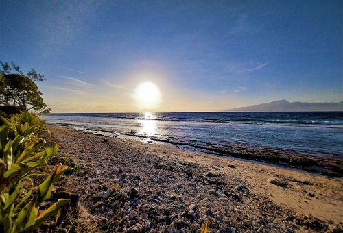 MOOREA - Toatea Beach Hoe