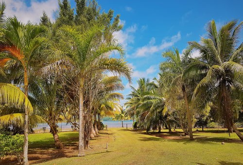 HUAHINE - Tipanier House