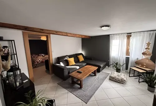 Apartment 1 bedroom 