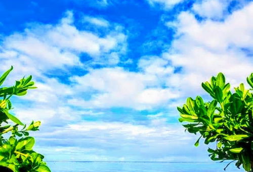 MOOREA - Fare Taina Iti