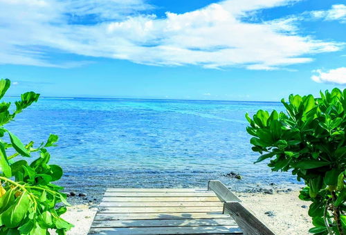 MOOREA - Fare Taina Nui