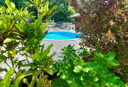 RAIATEA - Orion Pool Bungalow