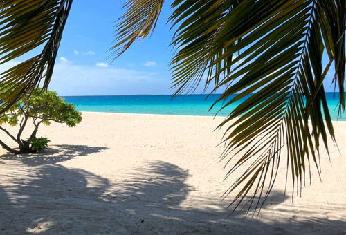 TIKEHAU - Pink Dream Family 2