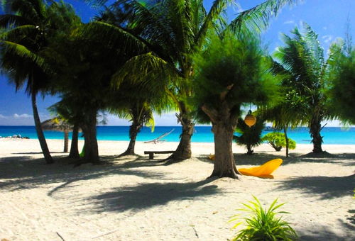 TIKEHAU - Pink Dream Beach 2