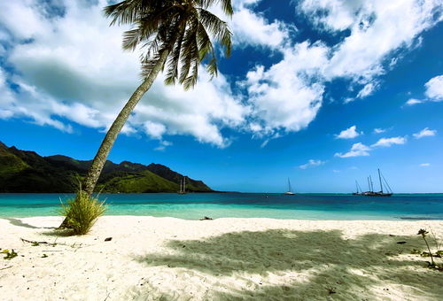 MOOREA - The ZEN Den spa