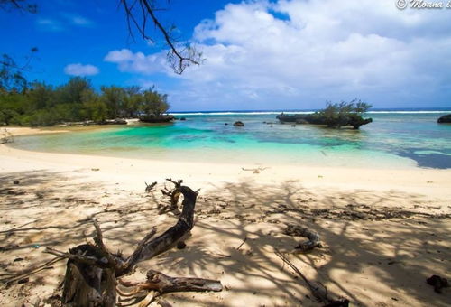 RIMATARA - Bungalow Ā'Ā URA Piti