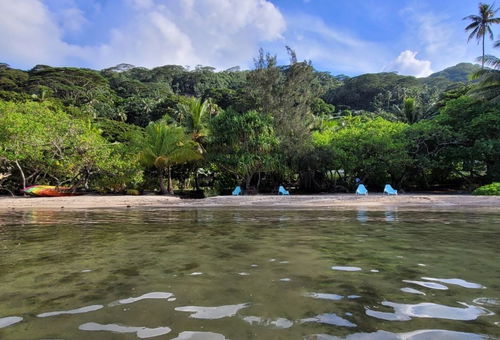 RAIATEA - Hotopuu Tipanier Family