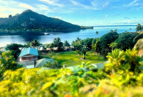 RAIATEA - Hotopuu Tiare Family