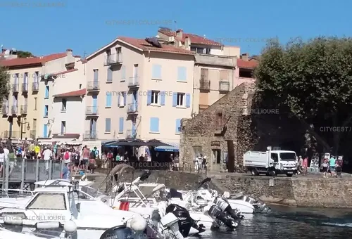 Appartement 1 chambre Collioure