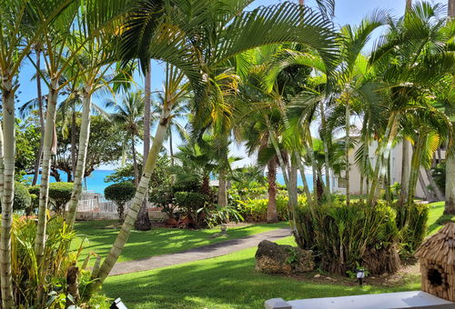 "Aimé Gwada", cozy 42m² apartment, sea view on the ground floor of a tropical...