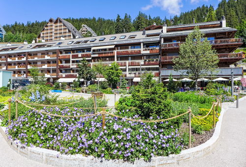Apartment 1 bedroom Crans-montana