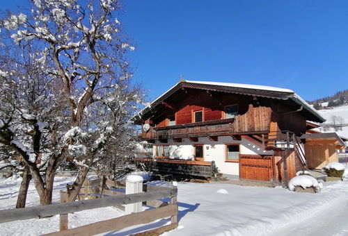 Appartement 2 chambres Wildschönau