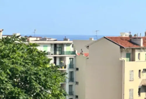 Apartment 1 bedroom Nice