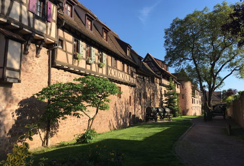 Apartment 1 bedroom Riquewihr