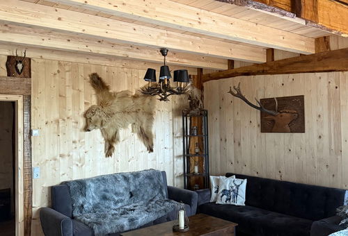 Chalet on the Wolfsberg