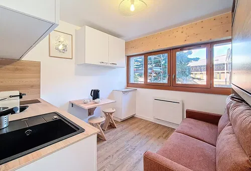 Appartement 1 chambre Les Belleville