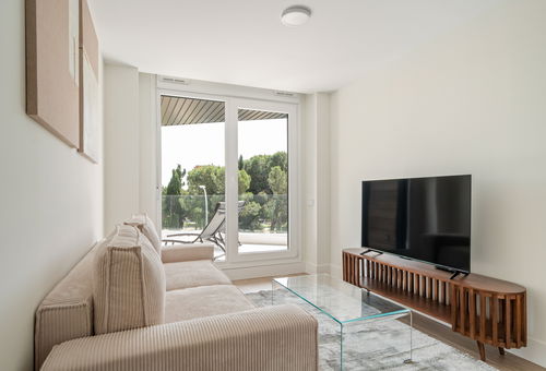 Apartment 2 bedroom Madrid