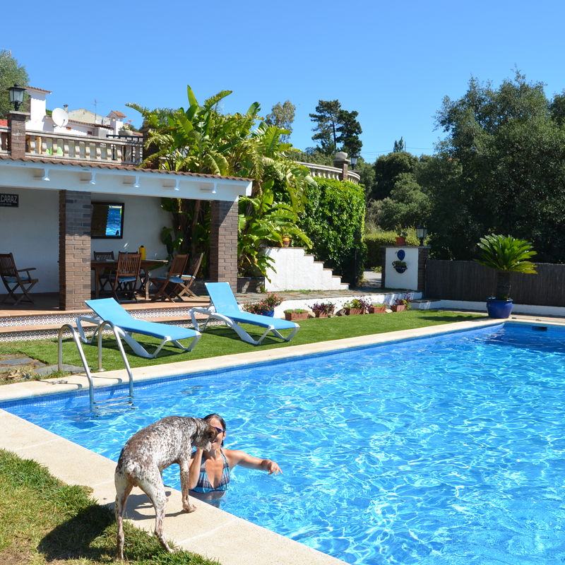 pet policy homestay